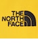 ザ・ノース・フェイス（THE NORTH FACE）フィルデンス ポールケース NM82204 SG