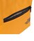 ザ・ノース・フェイス（THE NORTH FACE）ソフトクーラーボックス ワンダーフロストクーラーポーチ NM52502 SG