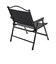 ホールアース（Whole Earth）椅子 チェア 折りたたみ FOLDING C CHAIR L/W WE2TDC58 BLK