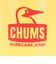 チャムス（CHUMS）水筒 ボトル マグ キャンパーウェーブボトル 500ml CH62-2128-Y076