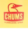 チャムス（CHUMS）水筒 ボトル マグ キャンパーウェーブボトル 300ml CH62-2127-Y076