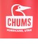 チャムス（CHUMS）水筒 ボトル マグ キャンパーウェーブボトル 300ml CH62-2127-R121