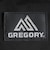 グレゴリー（GREGORY）バッグ スクウェアショルダーポーチ 1556771041