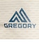グレゴリー（GREGORY）ポーチ バッグ ナノパデッドケースM 154079A545