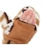 ペンドルトン（PENDLETON）トレッキング グローブ ボアミトン PDT-000-253022 BEG