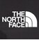 ザ・ノース・フェイス（THE NORTH FACE）トレッキングウェア フューチャーライト ドリズル アルパインパンツ NPW12402 K