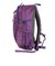 コロンビア（Columbia）バッグ バックパック リュック キャッスルロック 20L バックパック II PU8663 536