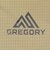 グレゴリー（GREGORY）バックパック リュック 登山 ハイキング アリオ20 157881A791