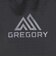 グレゴリー（GREGORY）バックパック リュック 登山 ハイキング アリオ20シャドウパイン ブラック 157881A798