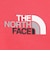 ザ・ノース・フェイス（THE NORTH FACE）フラッシュドライ カラフルロゴ コットン 半袖Tシャツ NTW32539 HI