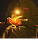 コールマン（Coleman）ライト LED ハンズフリーライト グリーン 2240017