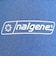 ナルゲン（nalgene）リバーシブルボトルケース 0.5L 61441WM ブルー/グレー