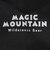 マジックマウンテン（MAGICMOUNTAIN）トレイルチェアー MC100.