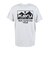 トゥルーロゴ 半袖Tシャツ 19822465Ash