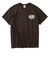 26SトゥルーロゴTシャツ 19822465 Dark Chocolate