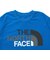 ザ・ノース・フェイス（THE NORTH FACE）半袖Tシャツ フラッシュドライ カラフルロゴ コットン NTW32539 HB