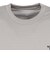 ザ・ノース・フェイス（THE NORTH FACE）ショートスリーブ エントランス パーミッションTシャツ NT82539 ST
