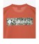 コロンビア（Columbia）半袖Tシャツ エルデンパスグラフィックショートスリーブTシャツ PG2114 235
