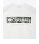 コロンビア（Columbia）半袖Tシャツ エルデンパスグラフィックショートスリーブTシャツ PG2114 125