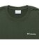 コロンビア（Columbia）ハーバートゥーバレーバックグラフィックロングスリーブTシャツ PG2123 369