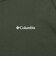 コロンビア（Columbia）ハーバートゥーバレーバックグラフィックロングスリーブTシャツ PG2123 369