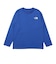 ザ・ノース・フェイス（THE NORTH FACE）キッズ ロングスリーブシレトコトコTシャツ NTJ82630ST TB