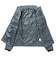 ザ・ノース・フェイス（THE NORTH FACE）中綿 アウター SCENIST INS ジャケット NY82615 SL