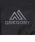 グレゴリー（GREGORY）バッグ バックパック リュック テロス20 ブラックライケン 160165A653