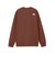 ザ・ノース・フェイス（THE NORTH FACE）トレーナー スウェット モーションクルー NT32496 SQ