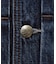 【525DENIM】14ozデニム ノーカラーGジャン