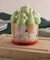 マフィンカップ＆ケーキピックセット（３枚入）ムーミン谷の仲間たち ＜MOOMIN ムーミン＞