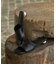 【LE VERNIS】Metal heel sandals