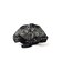 SCRIPT LOGO BANDANA CAP