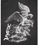 FADED SKATE ANGEL S/S TEE