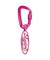 OVAL LOGO CARABINER