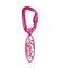 OVAL LOGO CARABINER