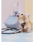 【CAT&DOG】【販路限定商品】キルティングお散歩バッグＭ