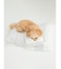 【CAT&DOG】ベビモコおふとんセットＭ