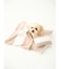 【CAT&DOG】ベビモコおふとんセットＭ