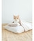 【CAT&DOG】ベビモコおふとんセットＭ