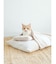 【CAT&DOG】ベビモコおふとんセットＭ