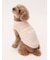 【CAT&DOG】【販路限定商品】ベビモコネップdogプルオーバー