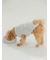 【CAT&DOG】【販路限定商品】ベビモコネップdogプルオーバー