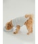 【CAT&DOG】【販路限定商品】ベビモコネップdogプルオーバー