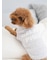 【CAT&DOG】【販路限定商品】ベビモコネップdogプルオーバー
