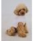 【CAT&DOG】【販路限定商品】ベビモコネップdogプルオーバー