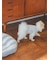 【CAT&DOG】【販路限定商品】ベビモコネップdogプルオーバー