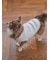【CAT&DOG】【販路限定商品】ベビモコネップdogプルオーバー