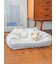 【CAT&DOG】【販路限定商品】ベビモコネップdogプルオーバー