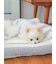 【CAT&DOG】【販路限定商品】ベビモコネップdogプルオーバー